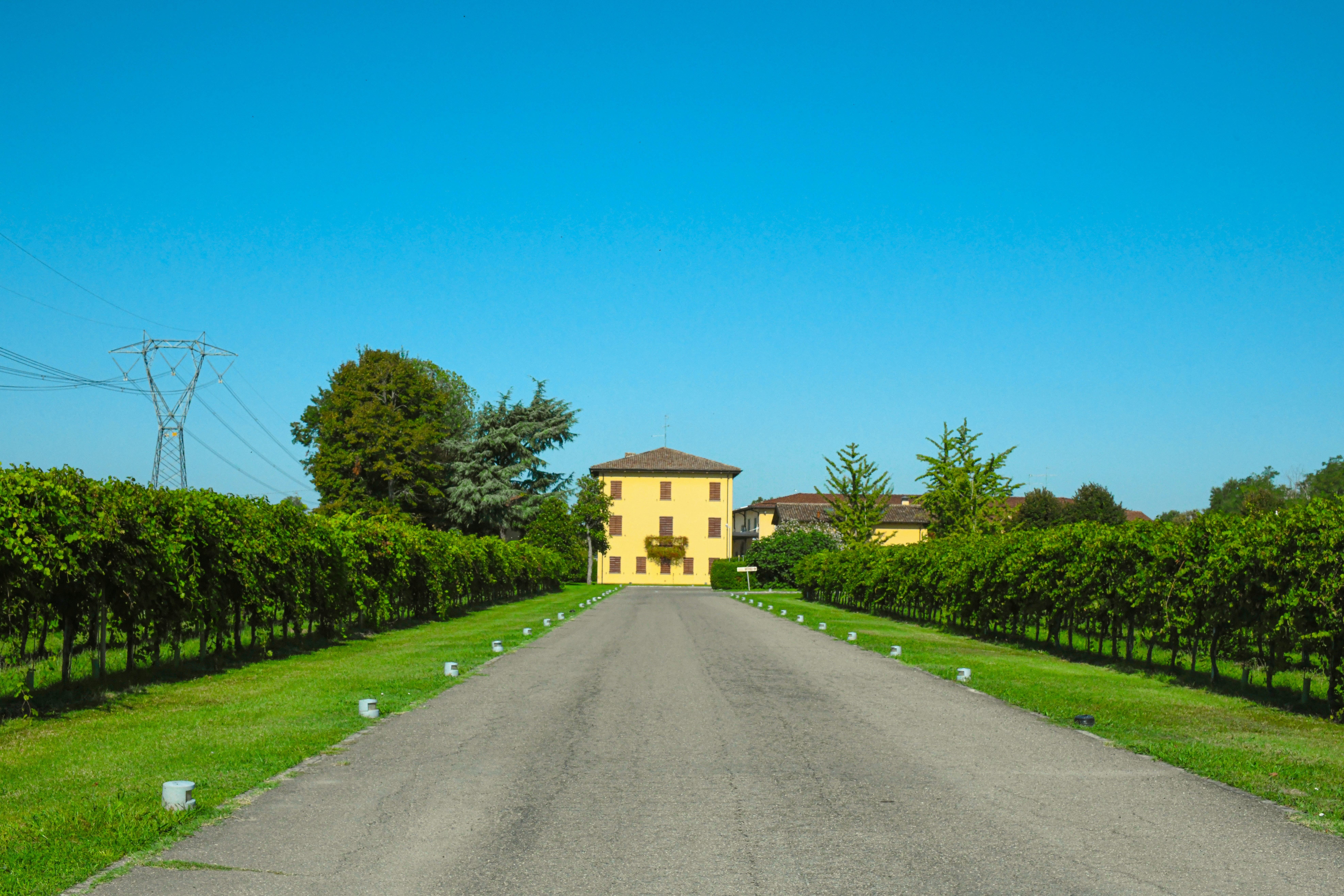 La casa gialla di campagna in mezzo alle viti di lambrusco, l'iconico simbolo dell'acetaia Giuseppe Cremonini